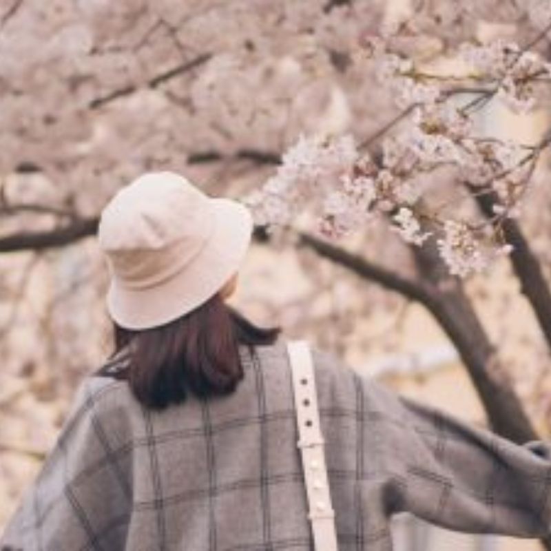 Top 7 places around the world where you can still enjoy spring