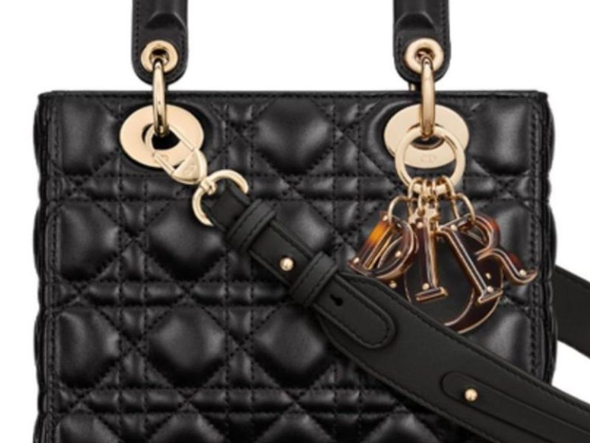 Dior Introduces New Handbag: the Lady 95.22