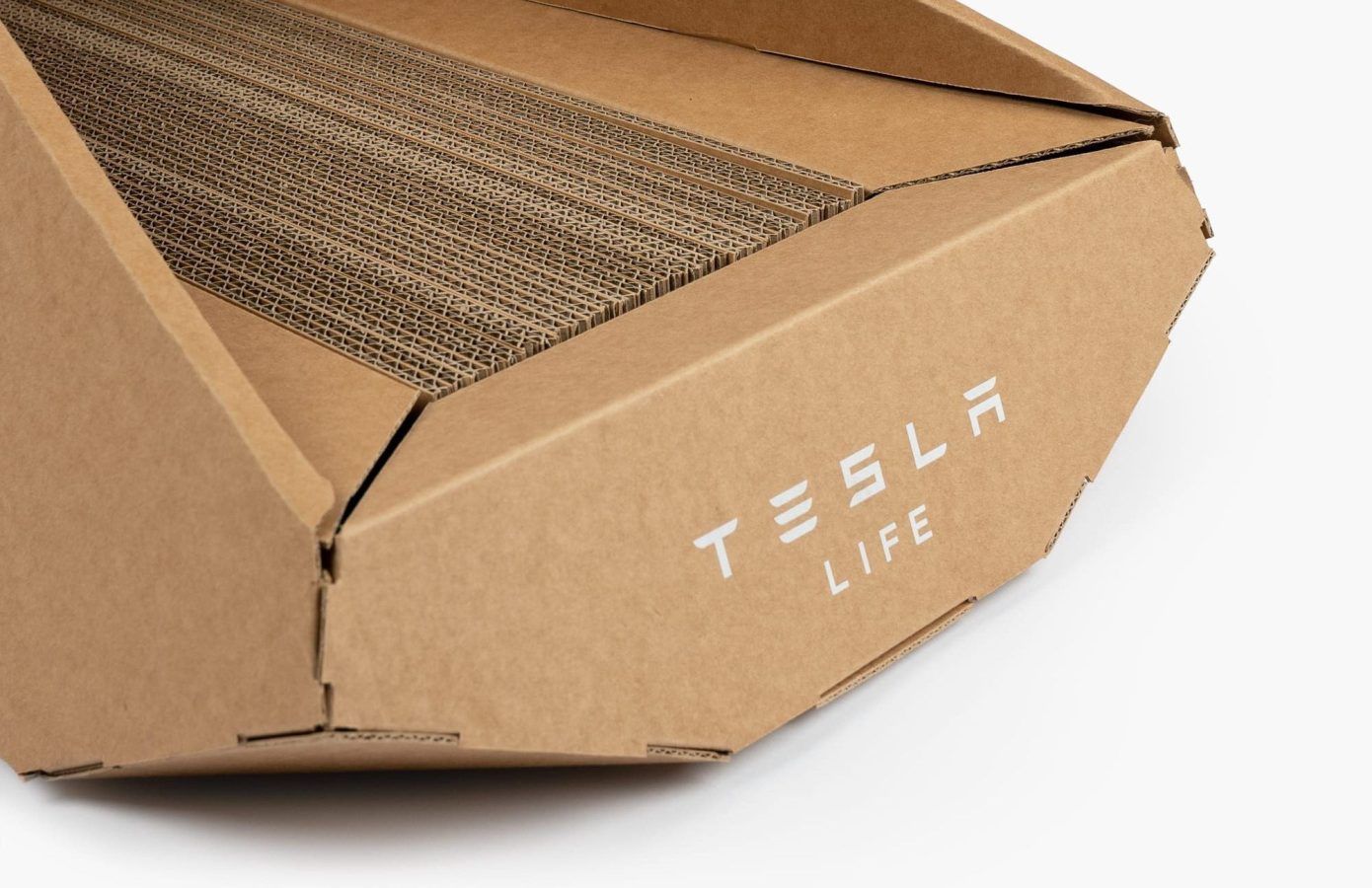 Meet Tesla's newest invention a Cybertruckinspired cat litter box