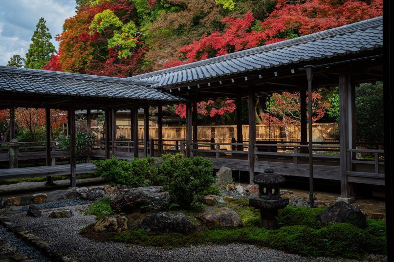 japan autumn 2023 fall foliage leaves