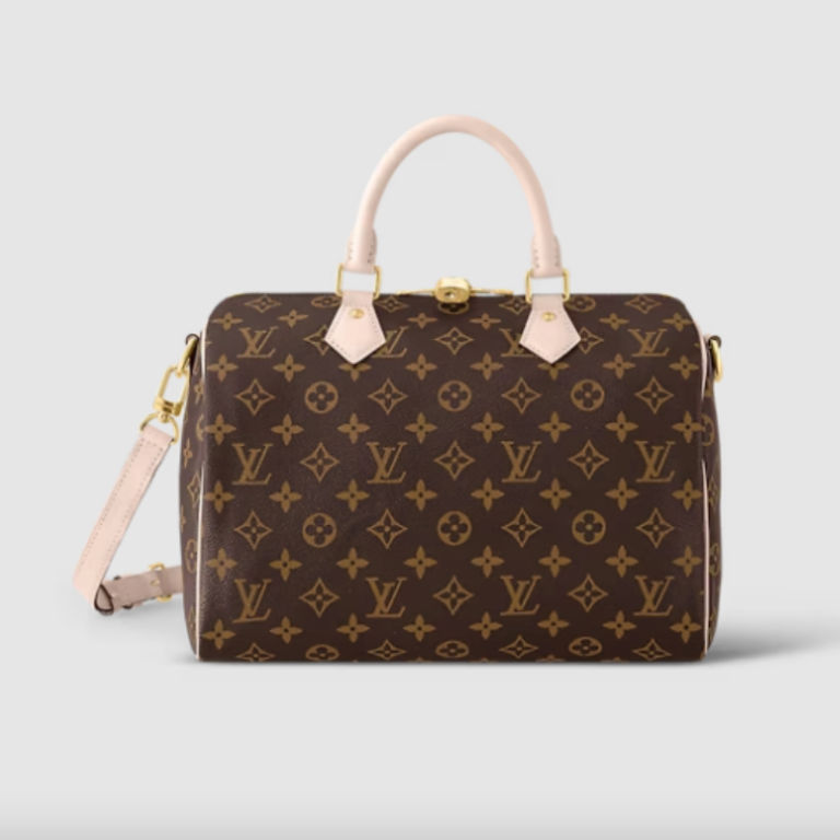 Louis Vuitton bag alternatives to consider instead of the Neverfull tote