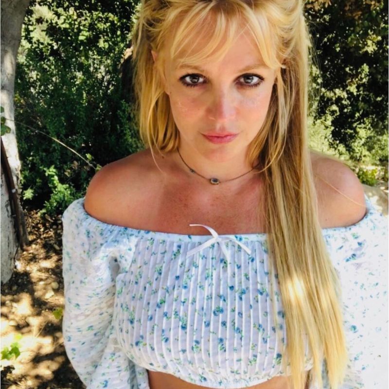 Britney Spears net worth, career, conservatorship and expensive things - Britney Spears' Net Worth Before Conservatorship