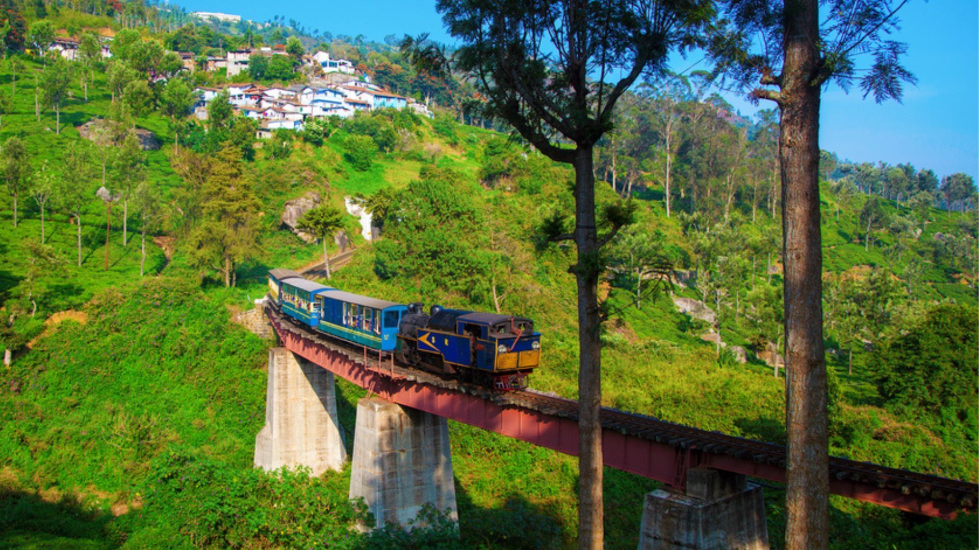 Nilgiri Mountain Railway: India's slowest train journey with the best views