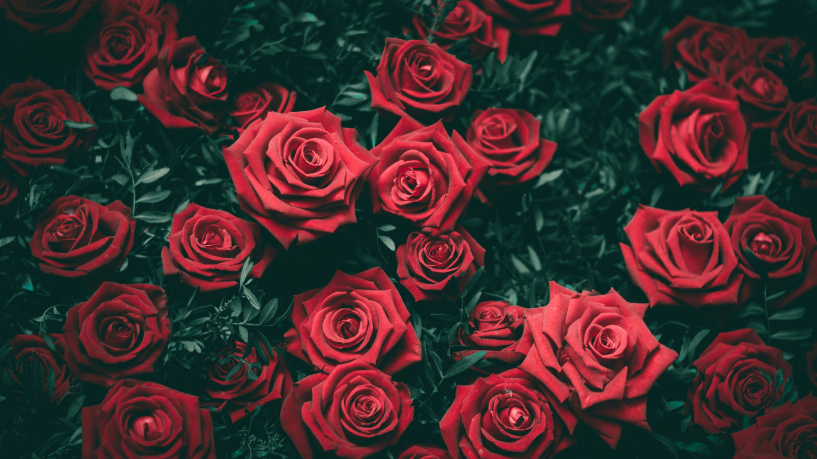 These are the best and most stunning alternatives to roses this Valentine’s Day