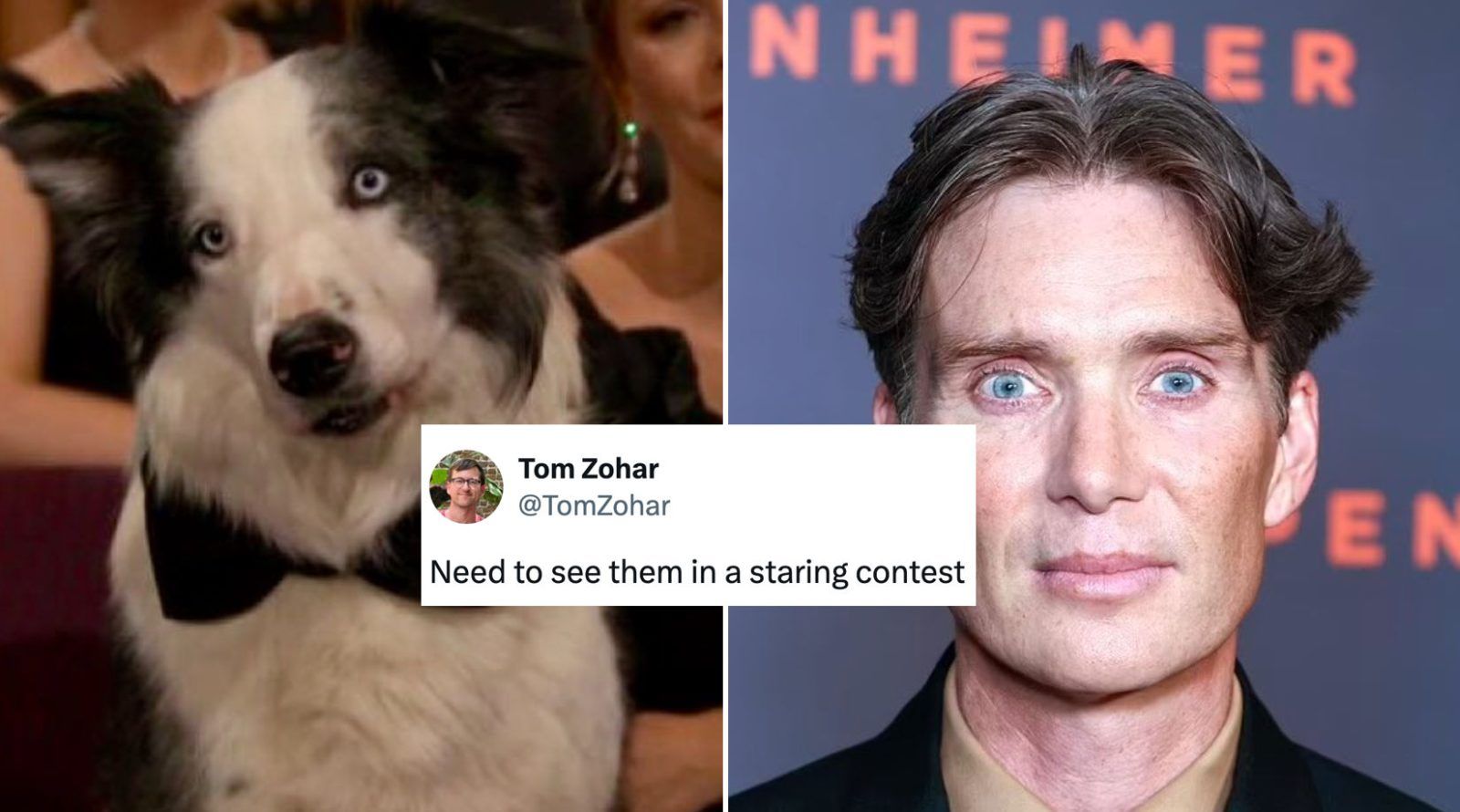 Oscars 2024: Best memes and reactions from Twitter (X)