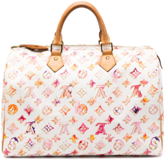 Louis Vuitton Speedy 'Watercolour' by Richard Prince