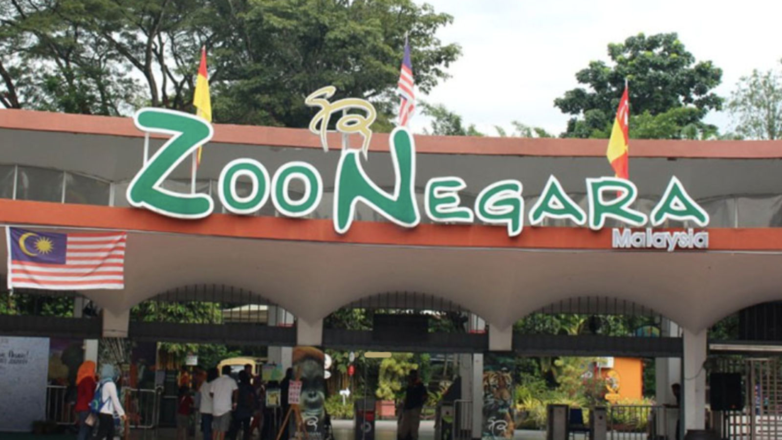 Get free tickets to Zoo Negara on your birthday. Here's how: