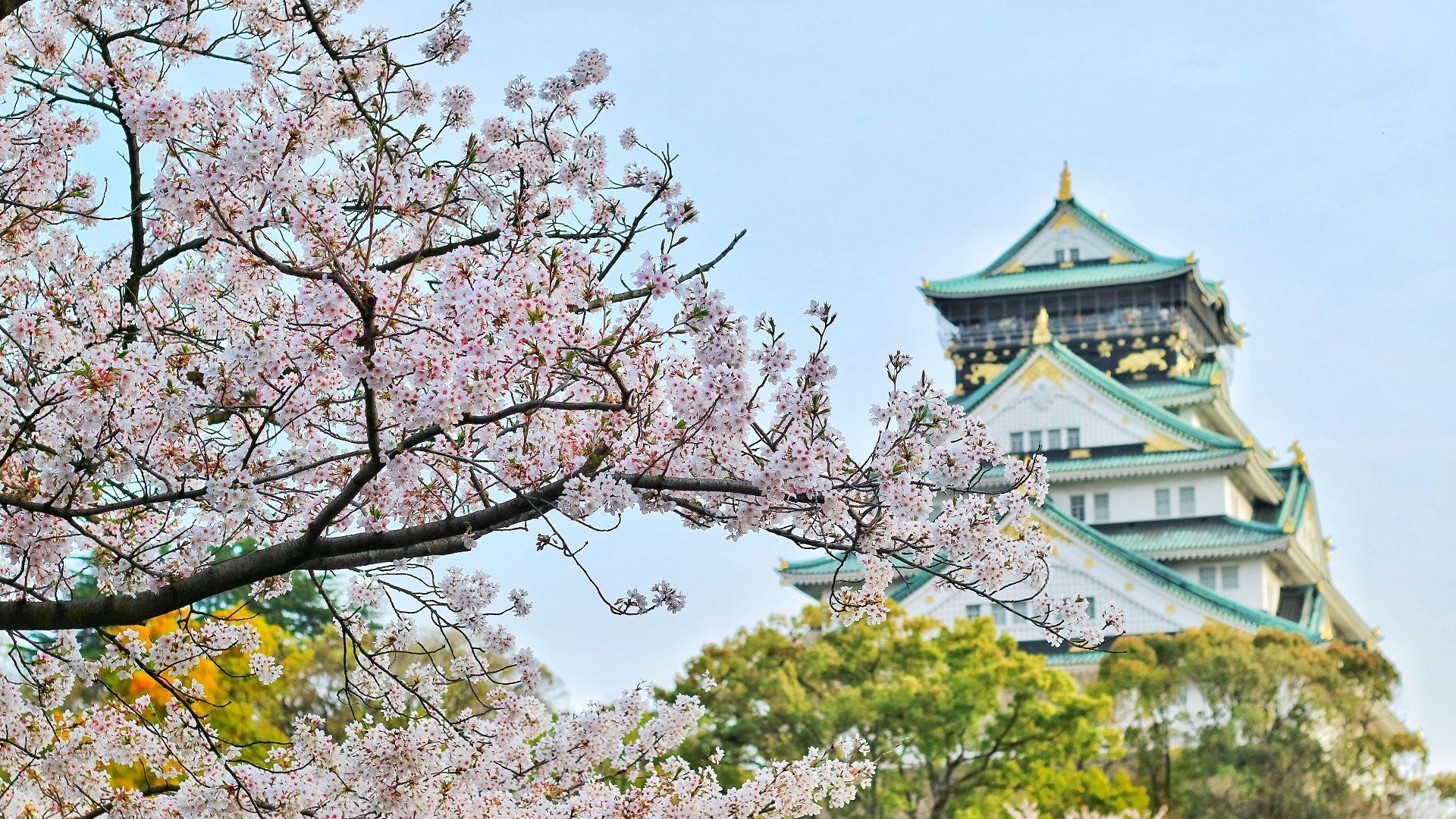 旅日马来西亚公民 