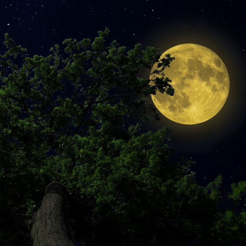 October 2024 full moon: Blood Moon in Aries and its fiery effects on the zodiac signs