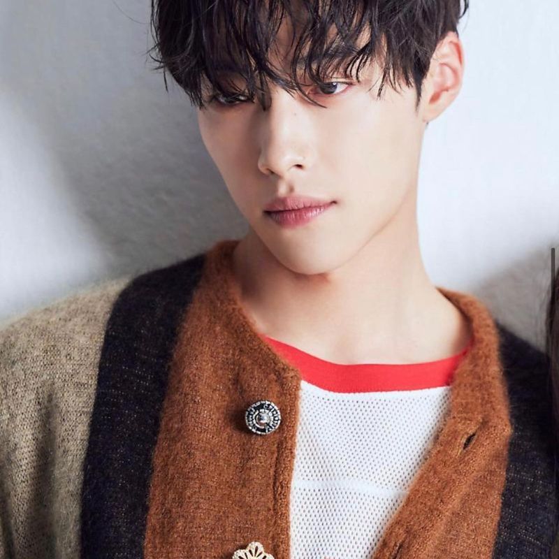Woo Do-hwan net worth: How much does the ‘Mr. Plankton’ actor earn?
