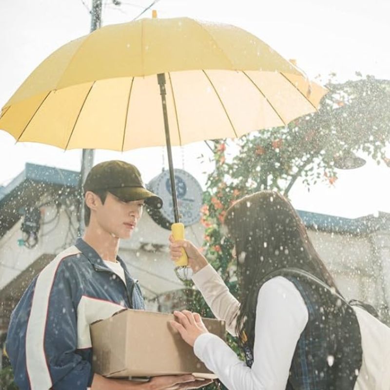 Funny and apt observations of a K-drama obsessed fan