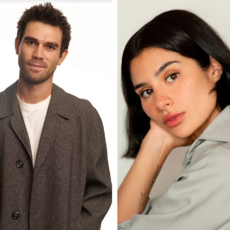 Which book series is Netflix's next Harlan Coben show based on?