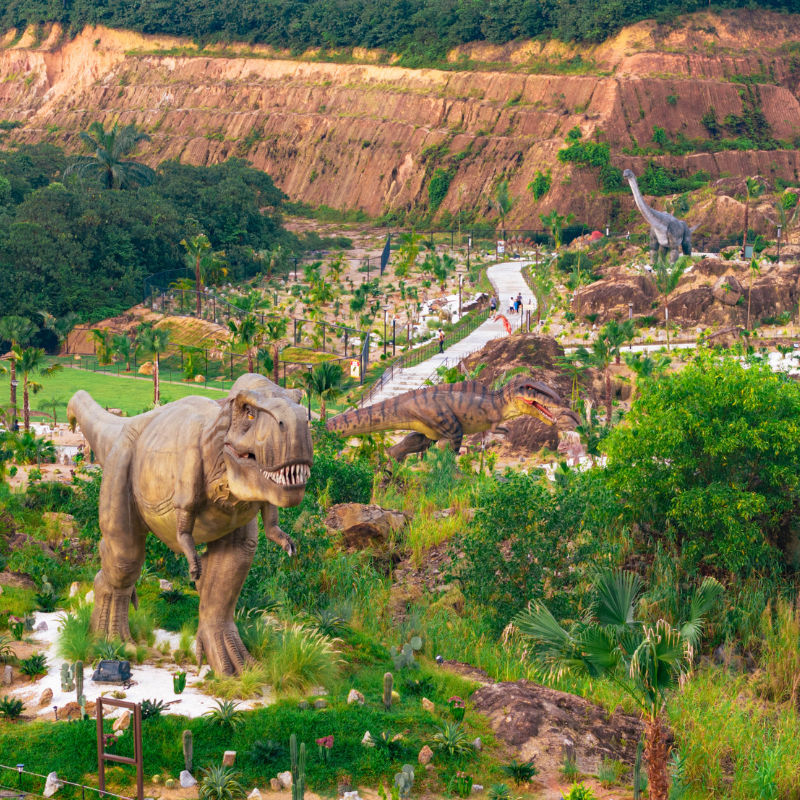 Inside Monkeys Canopy Resort, Sungai Long's answer to the all-in-one family escape