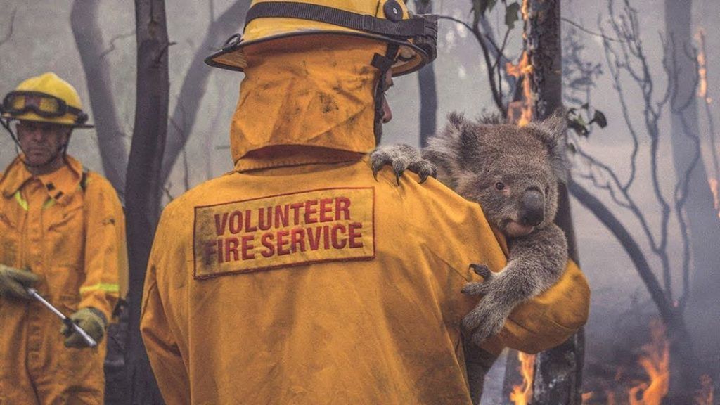 How fashion brands are supporting the Australian wildfires relief