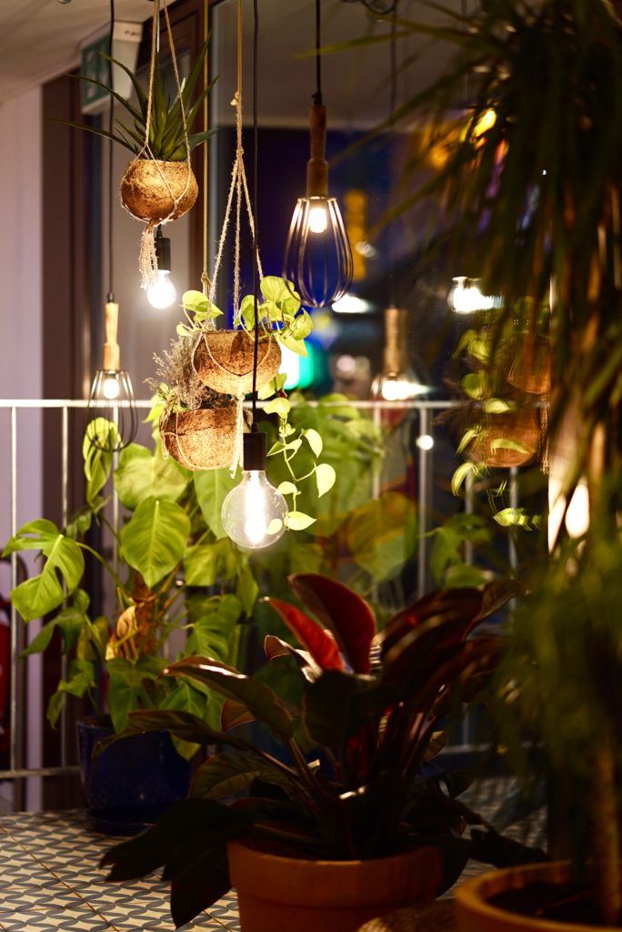 There’s a new wave of plant boutiques in Singapore changing the way you shop for greenery