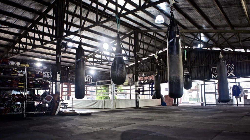 Onyx MMA