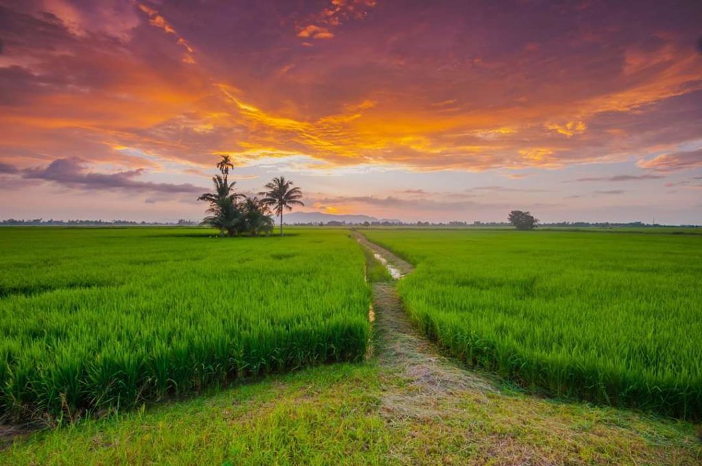 5 scenic road trips in Malaysia for good food and views over the weekend