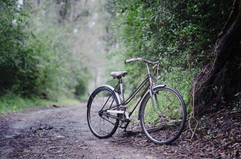 6 best cycling trails in Singapore for a dose of fresh air