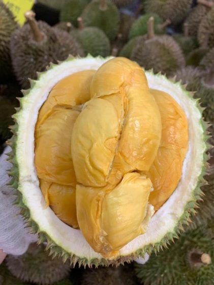 Top Durian Station