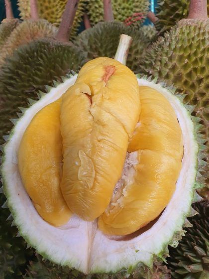 Durian Kaki 