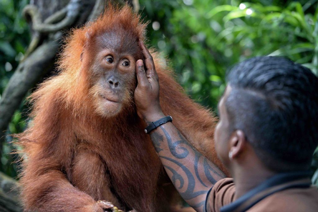 Save the planet with these 10 earth causes you can donate to