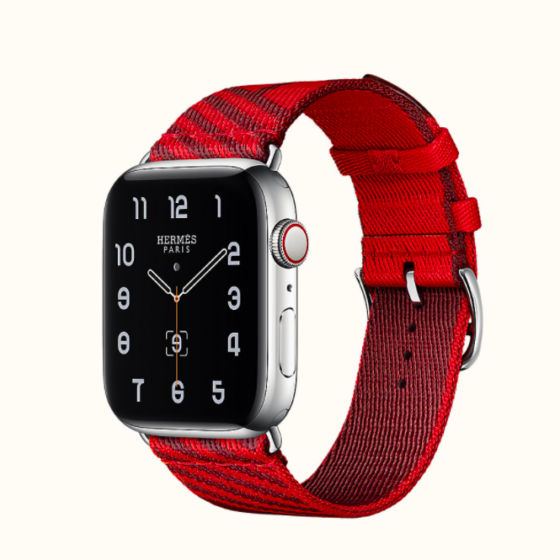 Apple Watch Hermes Series 6 case and band