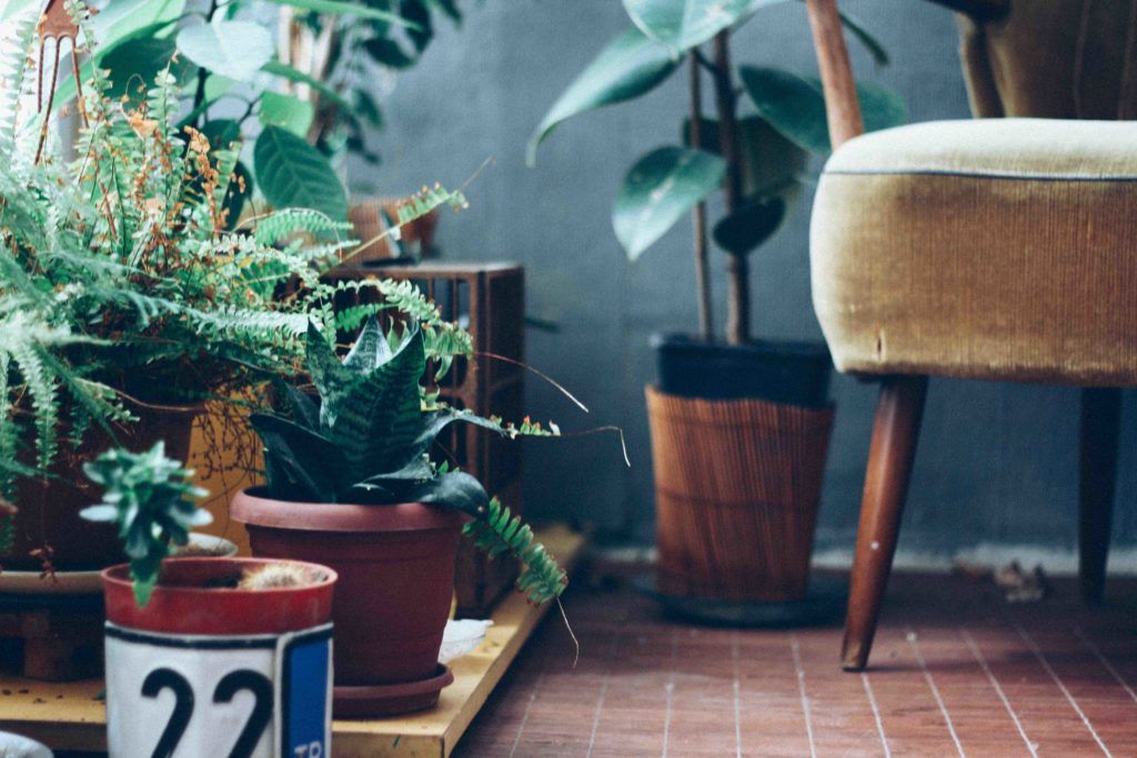 Plant parents, these gardening apps will take all the pain out of horticulture