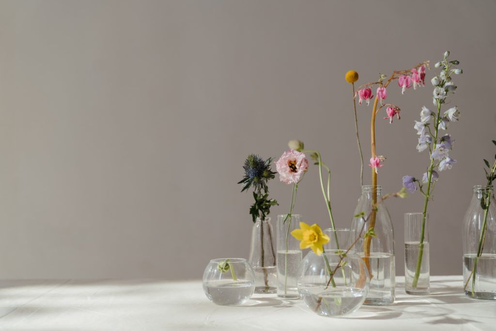 How to grow an indoor water garden