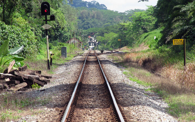 6 best hiking trails in Singapore to explore and get fit at