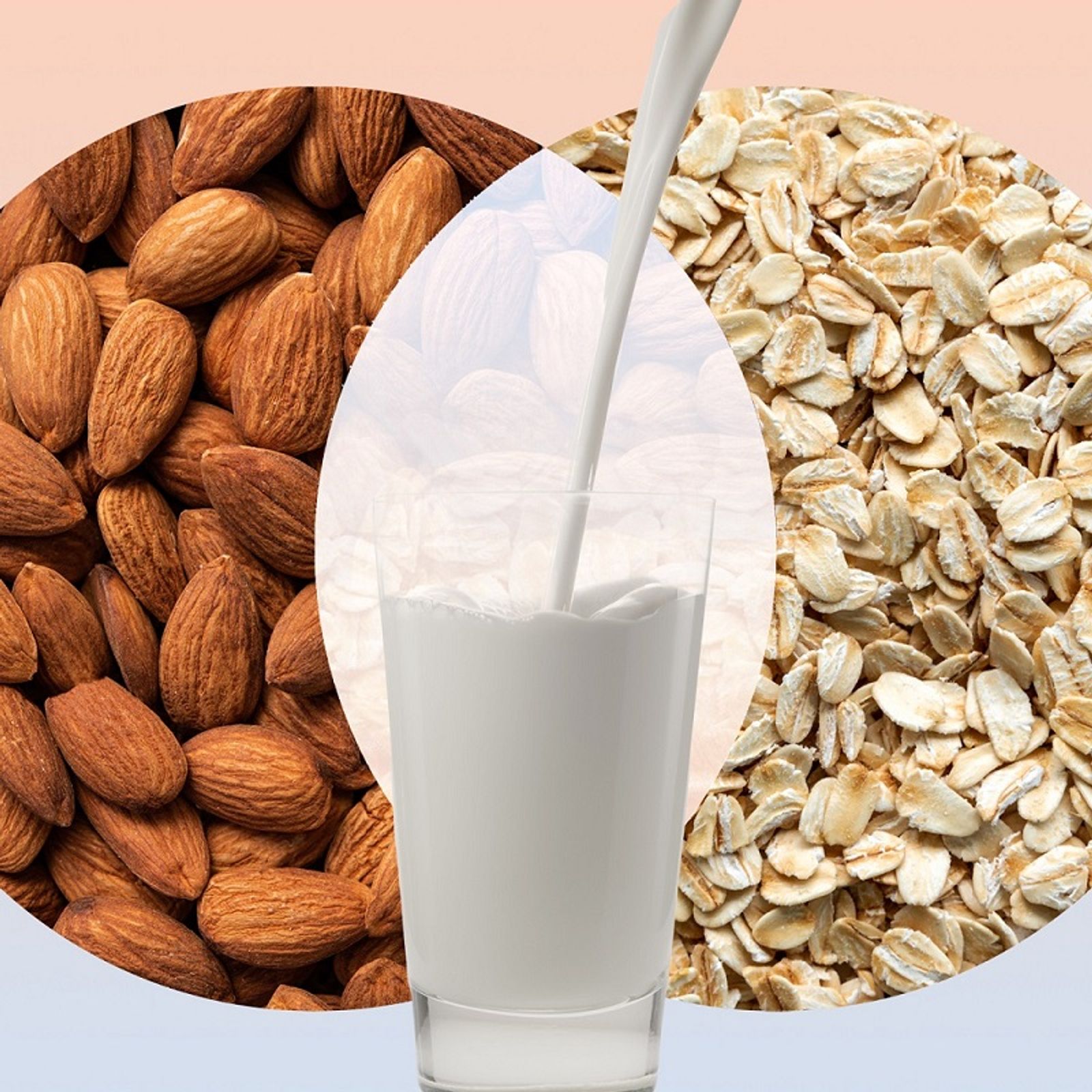 The ultimate guide to oat milk vs almond milk