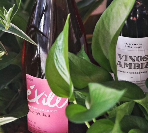 Here's where to get your natural wines in Singapore