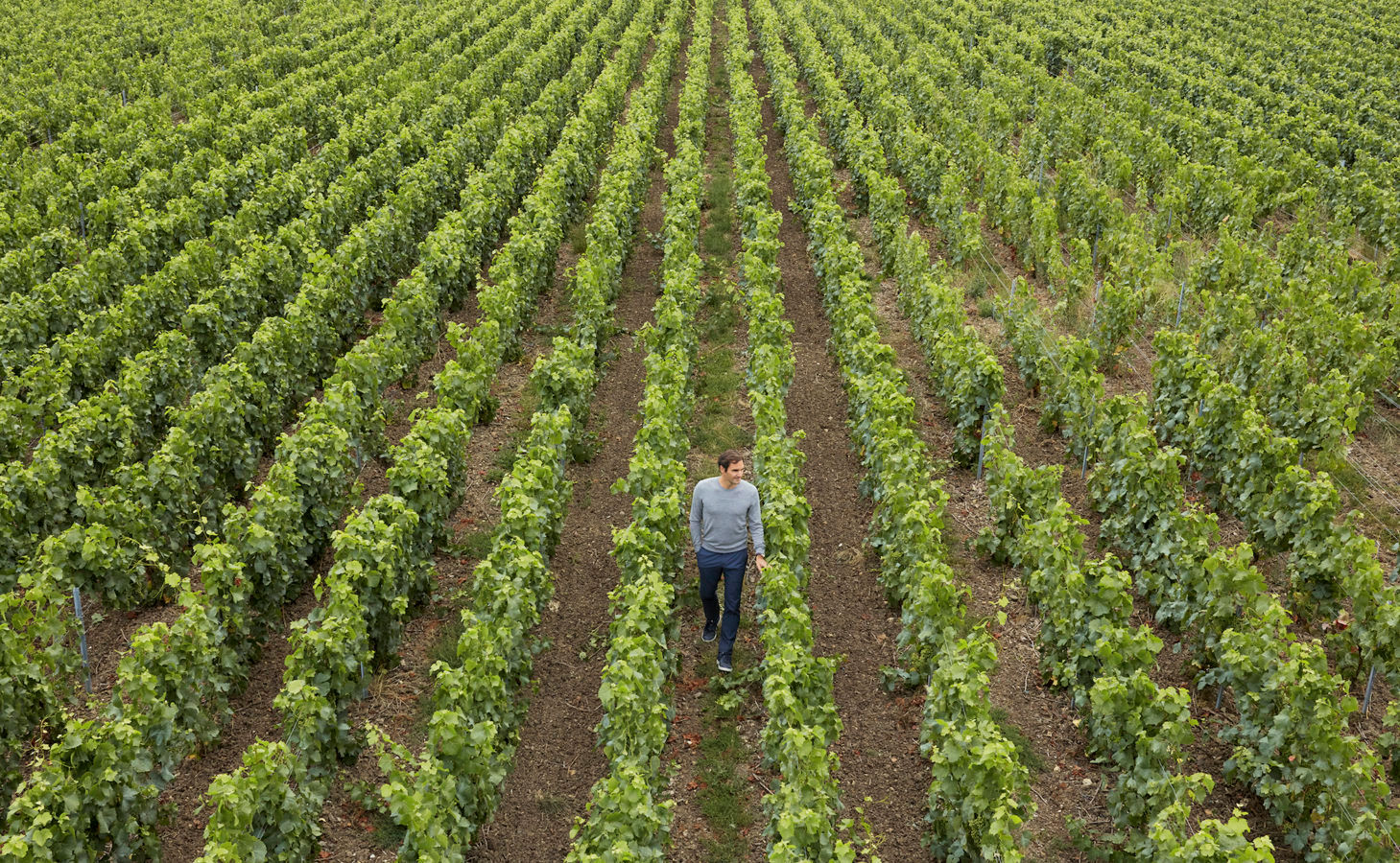 LSA Exclusive: Roger Federer finds out how much water Moët & Chandon’s vineyard needs
