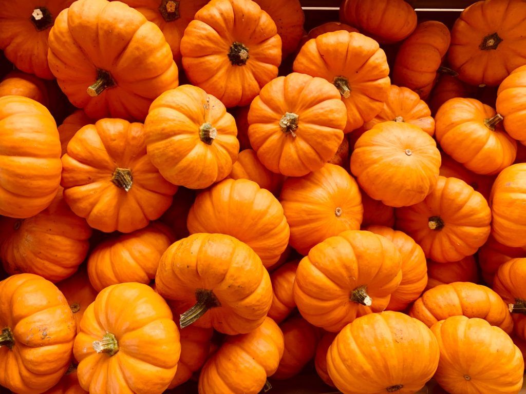 Recipe: These superfood-rich holiday treats are nutritionist-approved