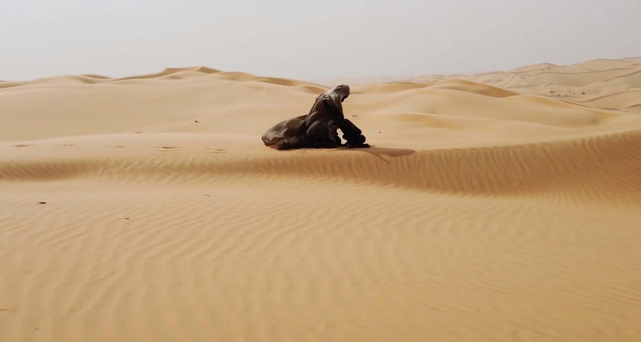 Sands of Dune