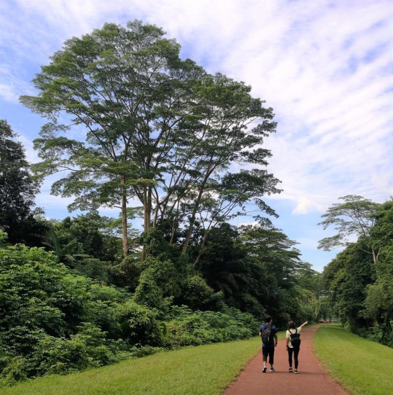 hiking trails Singapore food