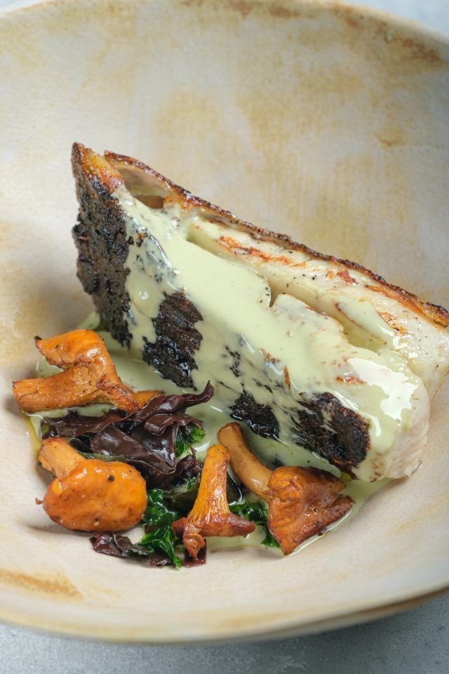 Chefs explain Why the elusive Turbot fish is worth its very hefty