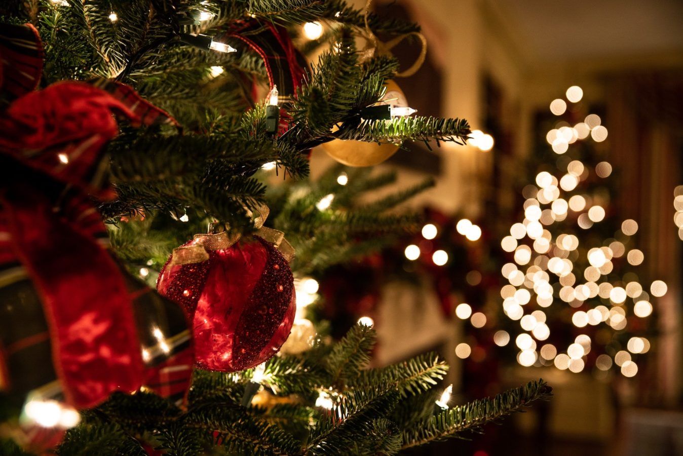 Here’s when you should take down your Christmas tree, according to a historian