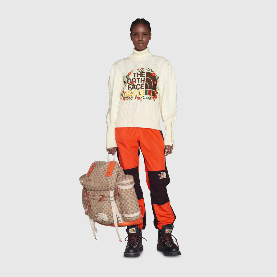 Supreme Vs Gucci Which The North Face Collaboration Should You Get? Trailing Sedum Plant Hanging Ladder Holder