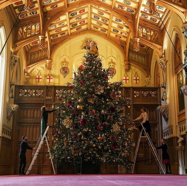 Christmas tree in Buckingham palace