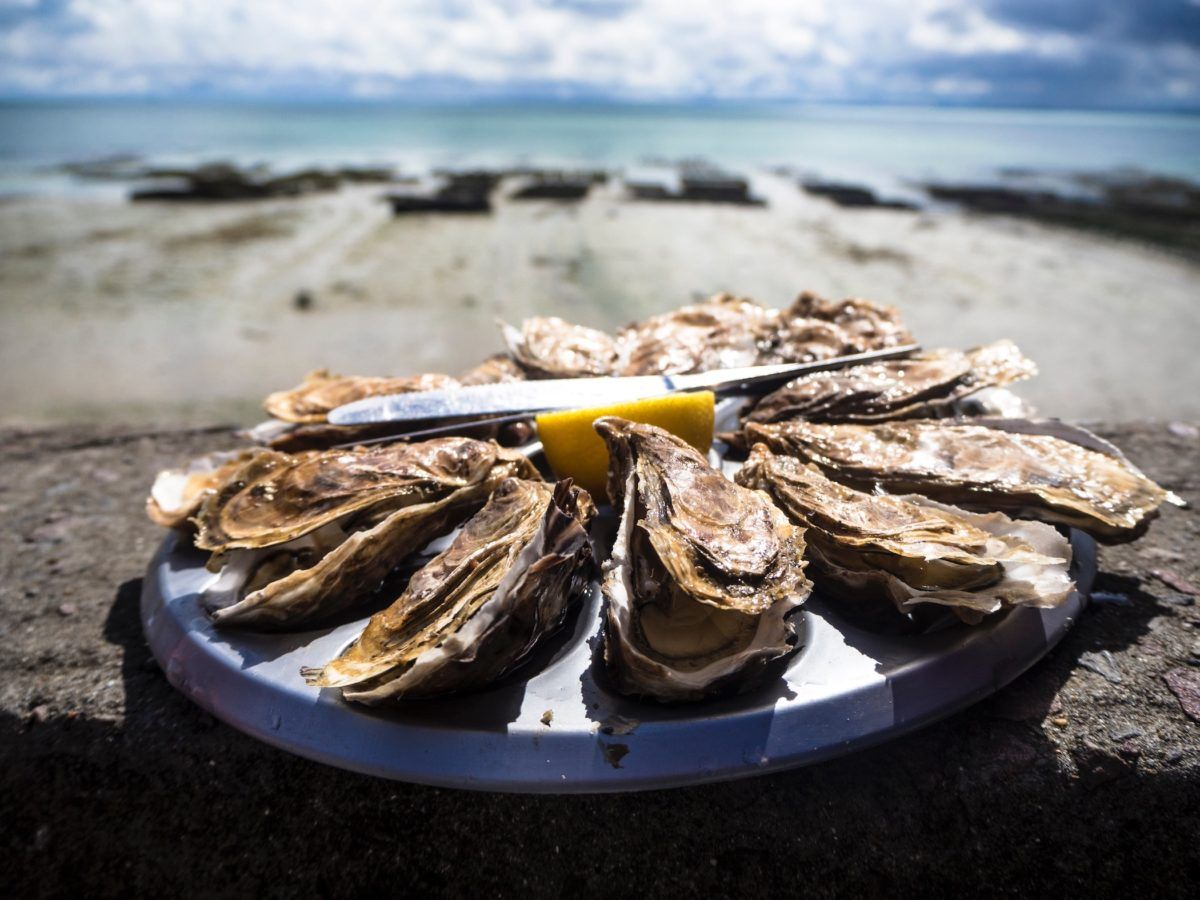 Would you eat lab-grown oysters?