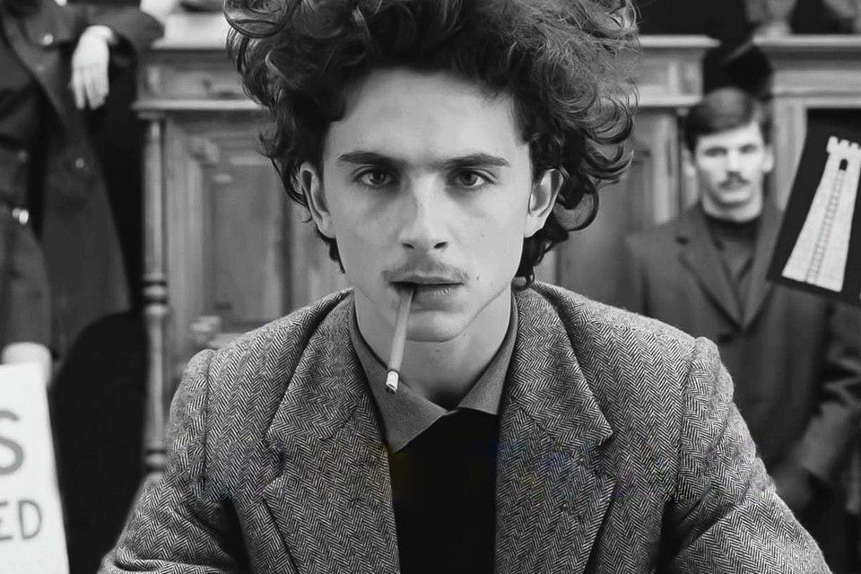New on Disney+: The French Dispatch and 5 other big premieres this February