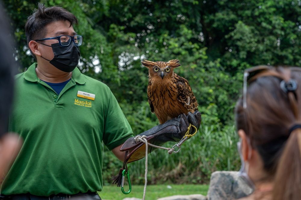 Séjour au parc ornithologique de Jurong