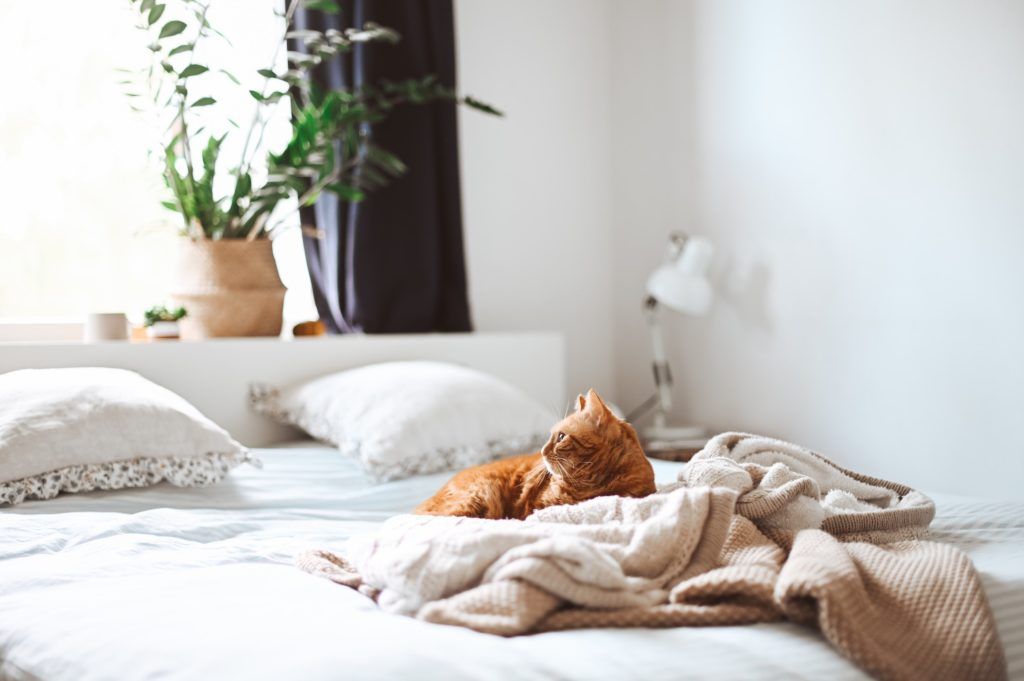 Redesign your bedroom with these Feng Shui tips for good mojo all around