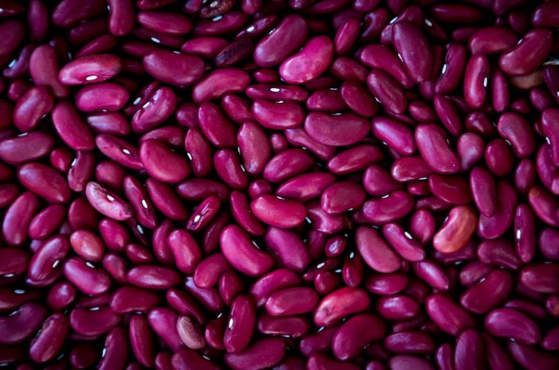 Omega 3 foods