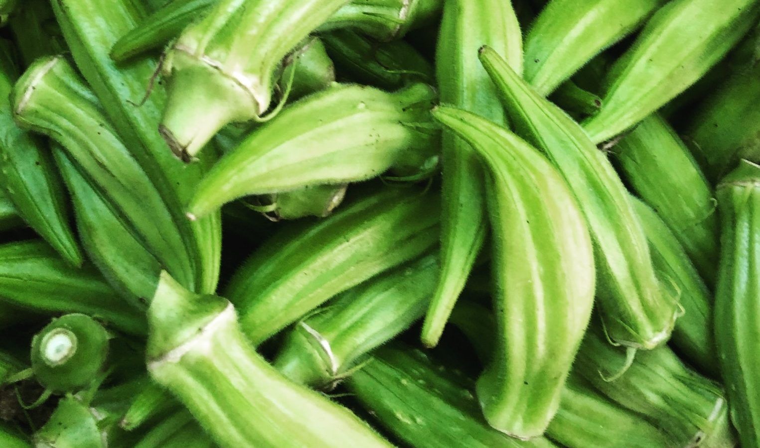 How to prepare okra, an underrated summer vegetable you really should try