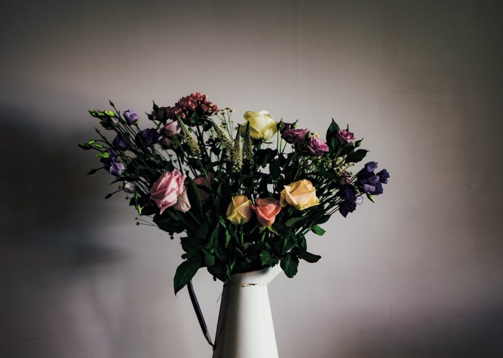 No green thumb? Here are 7 of the easiest flowers to grow that bloom all year