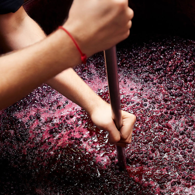 Natural wine 101: An explainer on low-intervention wine and why you should try it
