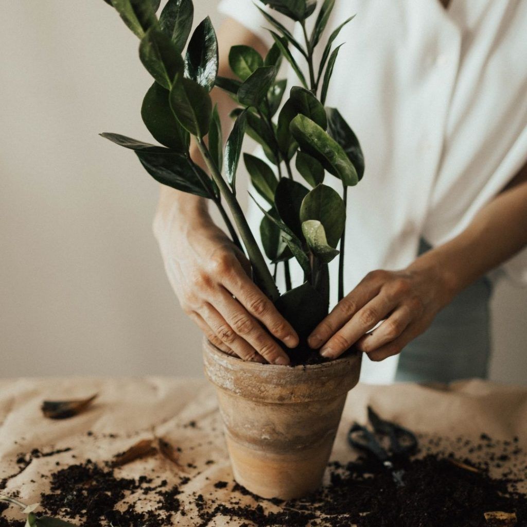The best gardening tools every plant parent should invest in