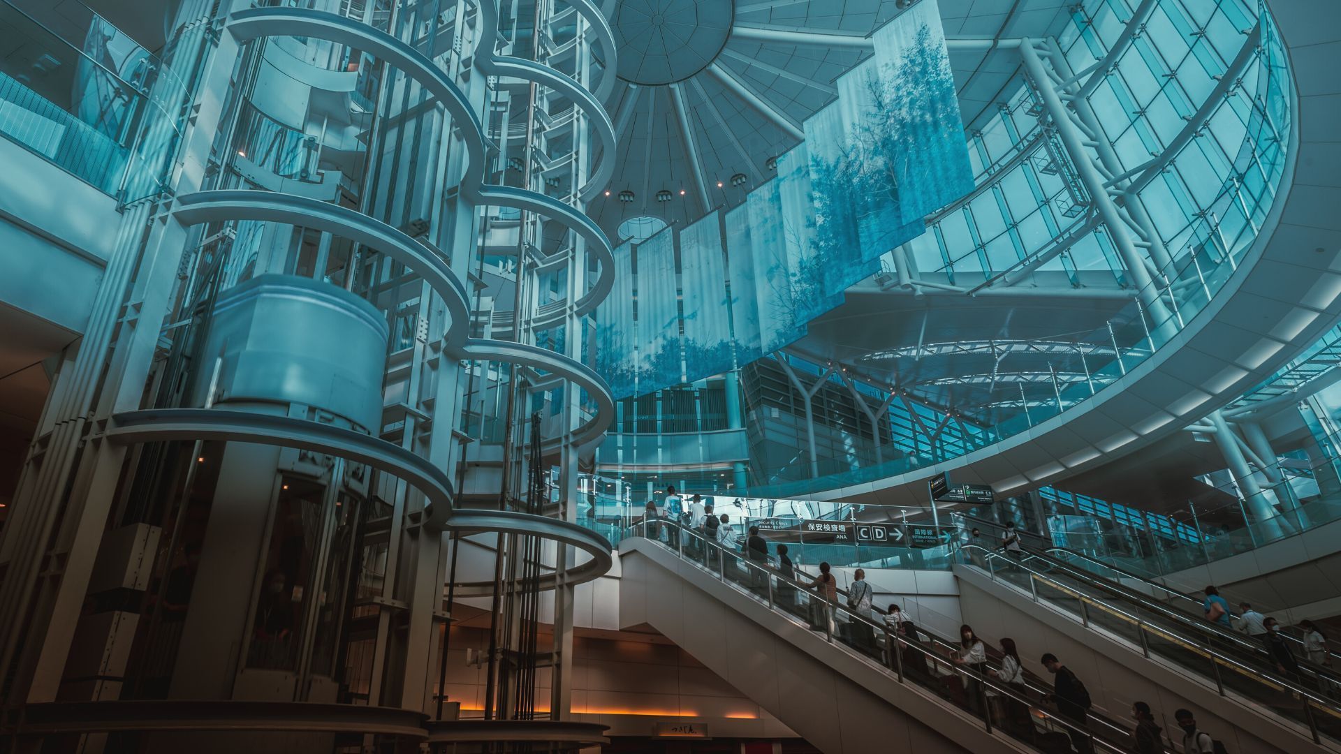 Everything about Japan's removal of all COVID19 travel warnings