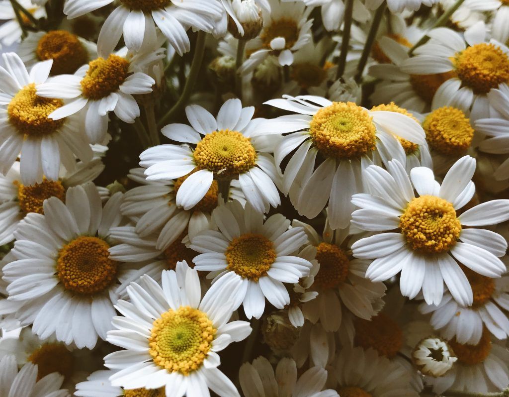 11 best natural remedies for reducing anxiety and stress